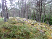 PFPT11-OH-Pic80.JPG