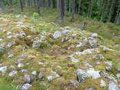 PFPT11-OH-Pic81.JPG