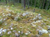 PFPT11-OH-Pic82.JPG