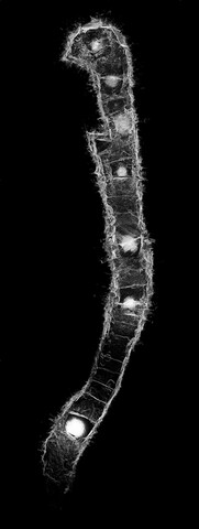 souterrain_0010.jpg
