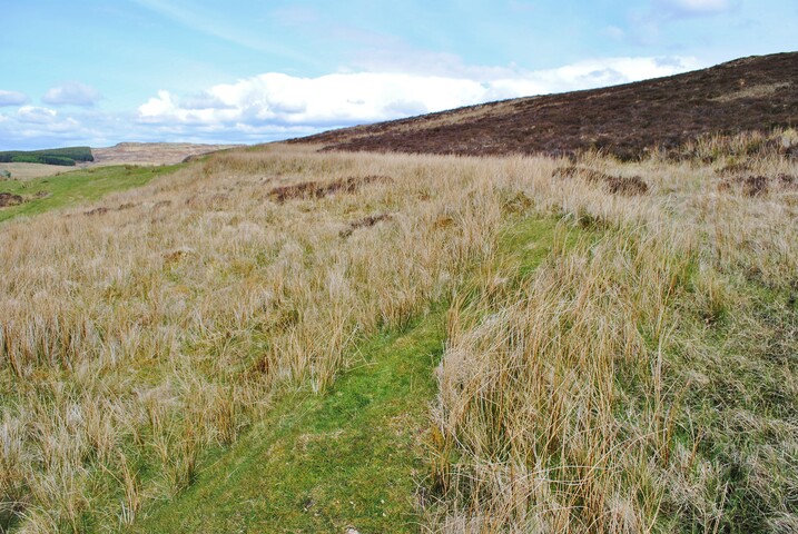 66.JPG