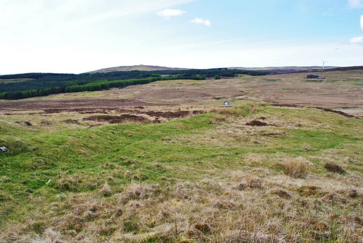 67.JPG