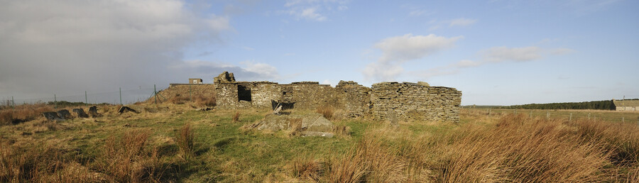 _DSC8635.jpg