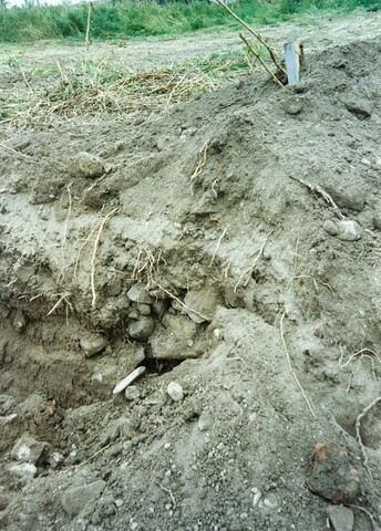 Kinmylies WB 1993 3.jpg
