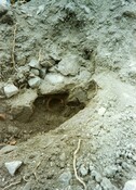 Kinmylies WB 1993 7.jpg