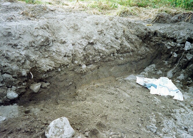 Kinmylies WB 1993 9.jpg