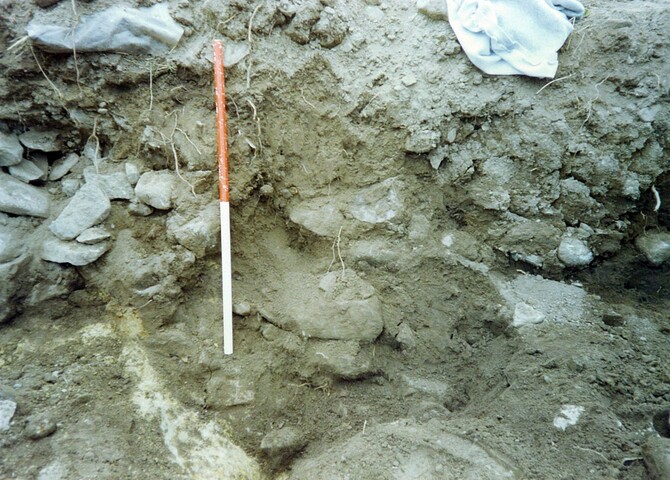Kinmylies WB 1993 11.jpg