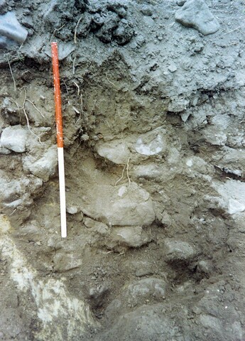 Kinmylies WB 1993 13.jpg