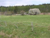 house 001.jpg