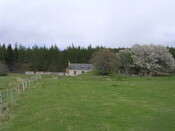 house 002.jpg