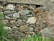DSCF0724.JPG