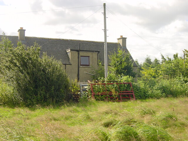 DSC00003.JPG