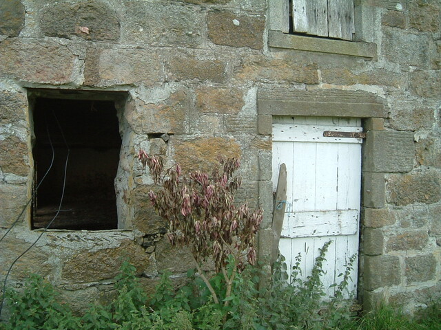 Daviot_12.09.2005_4.JPG