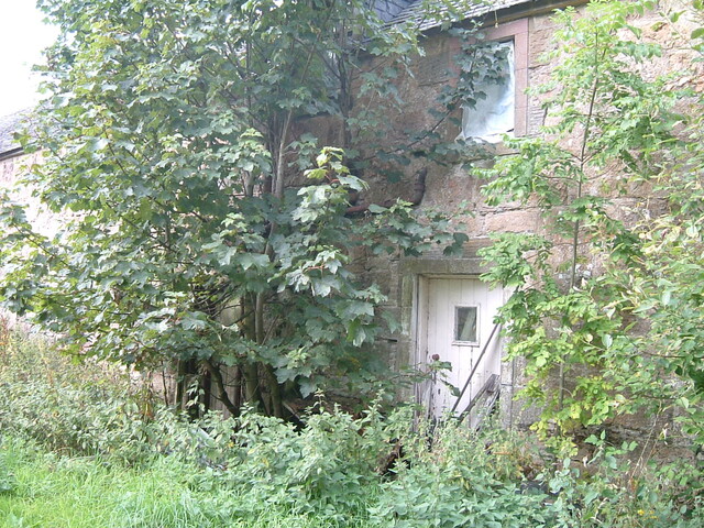 Daviot_12.09.2005_27.JPG