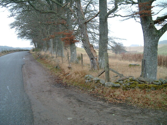 Daviot_20.02.2006_48.JPG