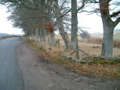 Daviot_20.02.2006_48.JPG