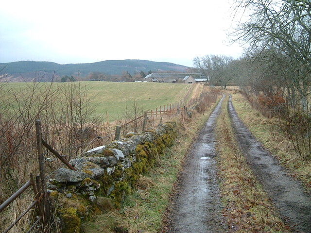 Daviot_20.02.2006_49.JPG