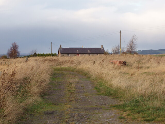 01 .JPG
