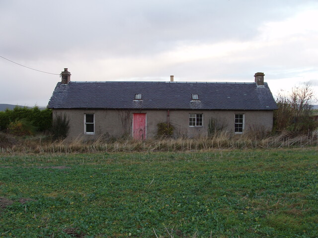 04.JPG