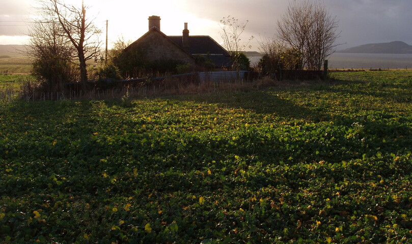 06.JPG