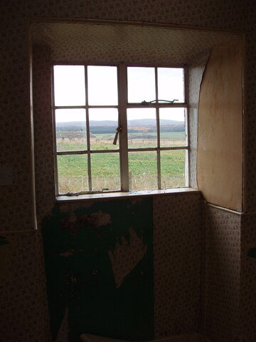 49.JPG