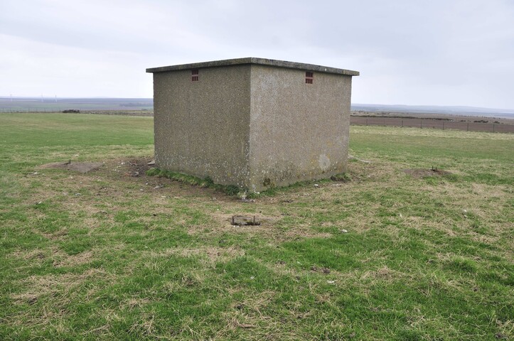 332512 953782 1.jpg