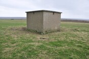 332512 953782 1.jpg