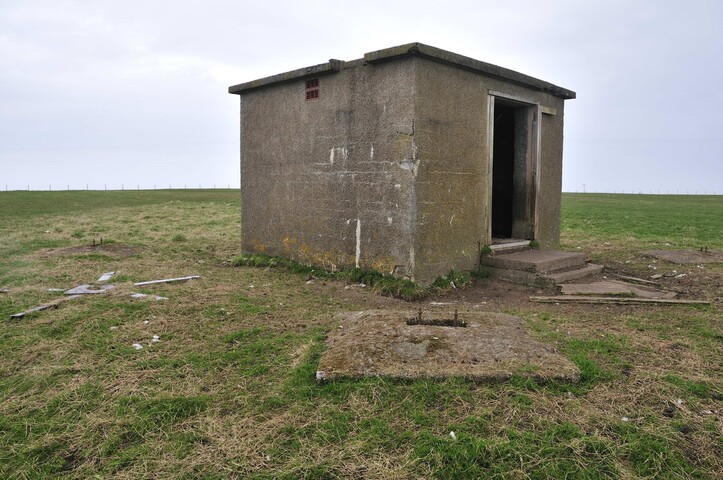 332512 953782 4.jpg