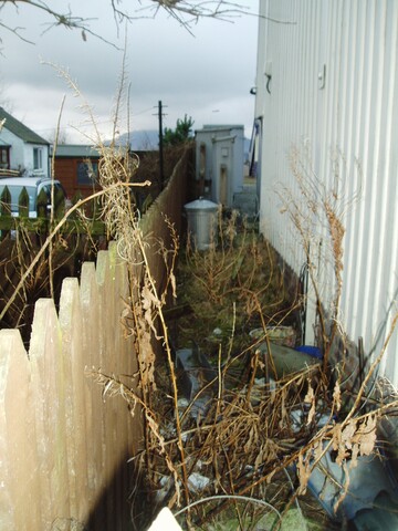 P1240044.JPG