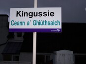 Picture 003.jpg