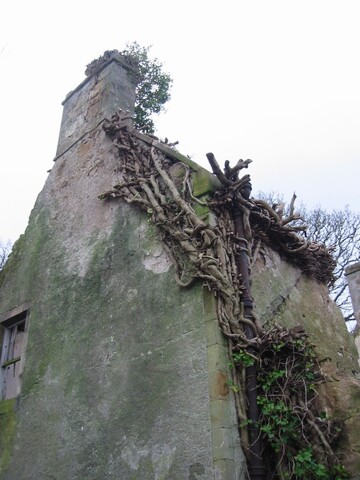 13 East Gable Detail.JPG
