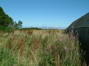 DSCF0839.JPG