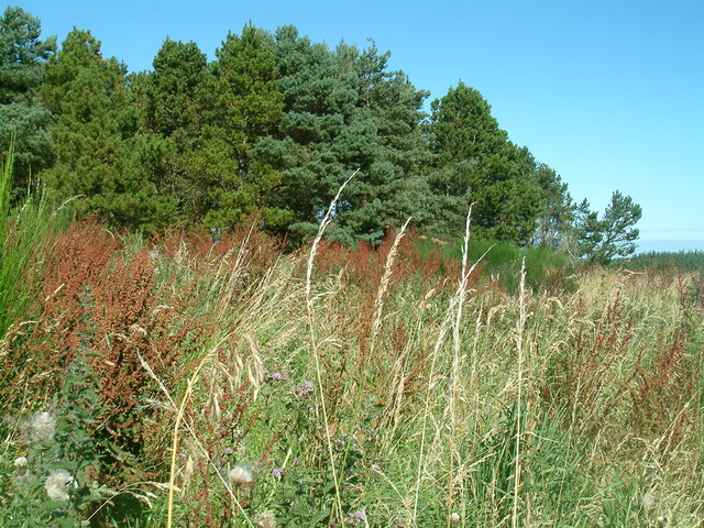DSCF0840.JPG