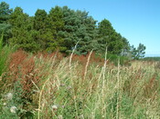 DSCF0840.JPG