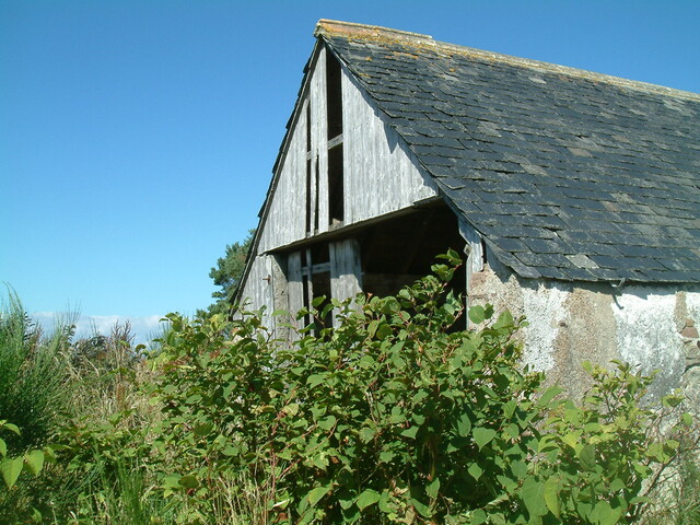 DSCF0842.JPG