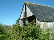 DSCF0842.JPG