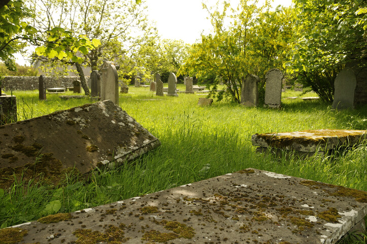 _DSC9029.jpg