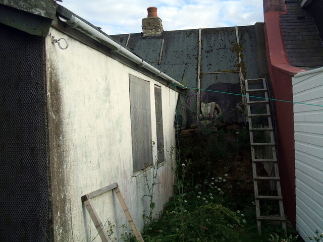 DSCF0437.JPG