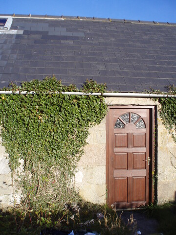 PA020235.JPG