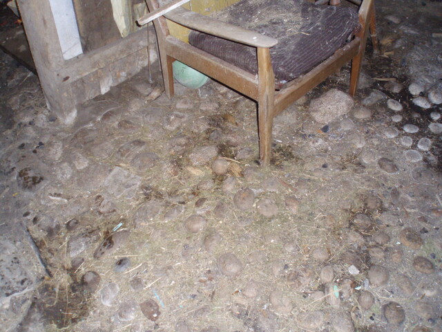 PA020257.JPG