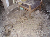 PA020257.JPG