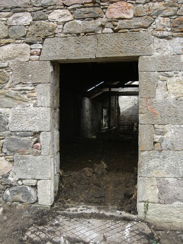 14.JPG