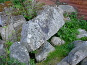 224 Doll 20.JPG