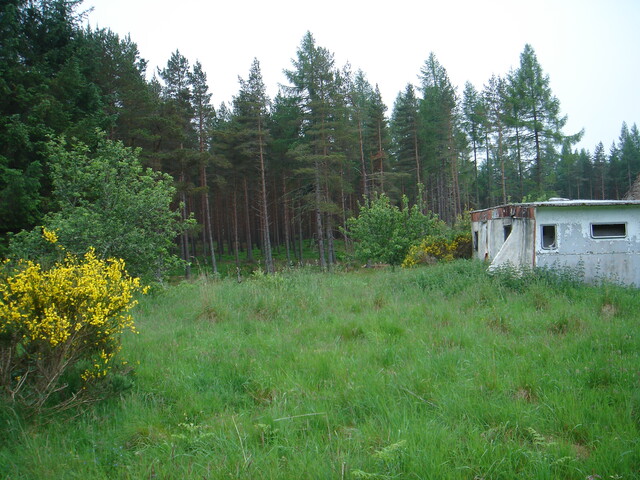 Jun 2005 003.jpg