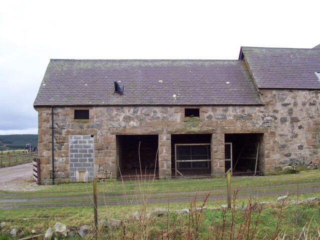 East Wall Bottom photo 6.jpg