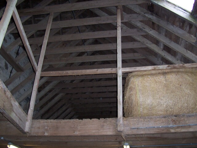 threshing floor photo O.jpg