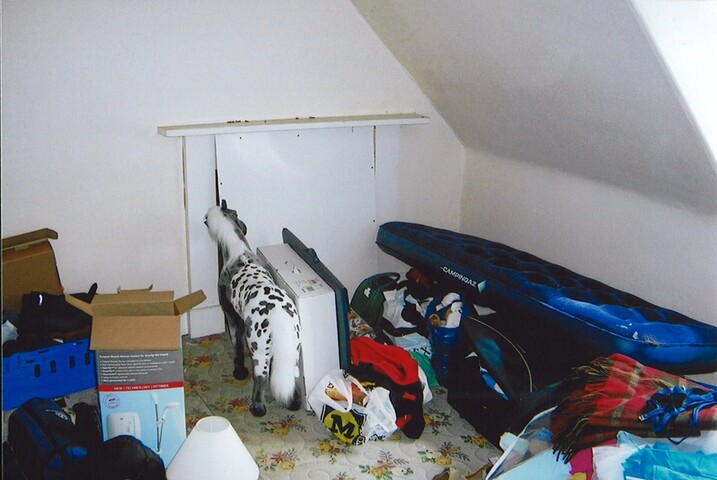 20070111105510_00009.jpg