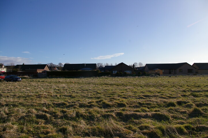 EHG3733_2.JPG