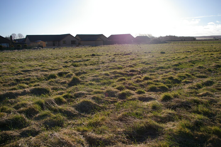 EHG3733_3.JPG