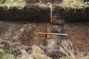 EHG3733_9.JPG